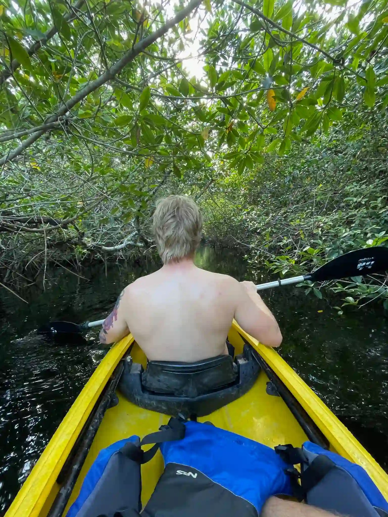 Me kayaking through mangrove tunnels in the Florida wetlands