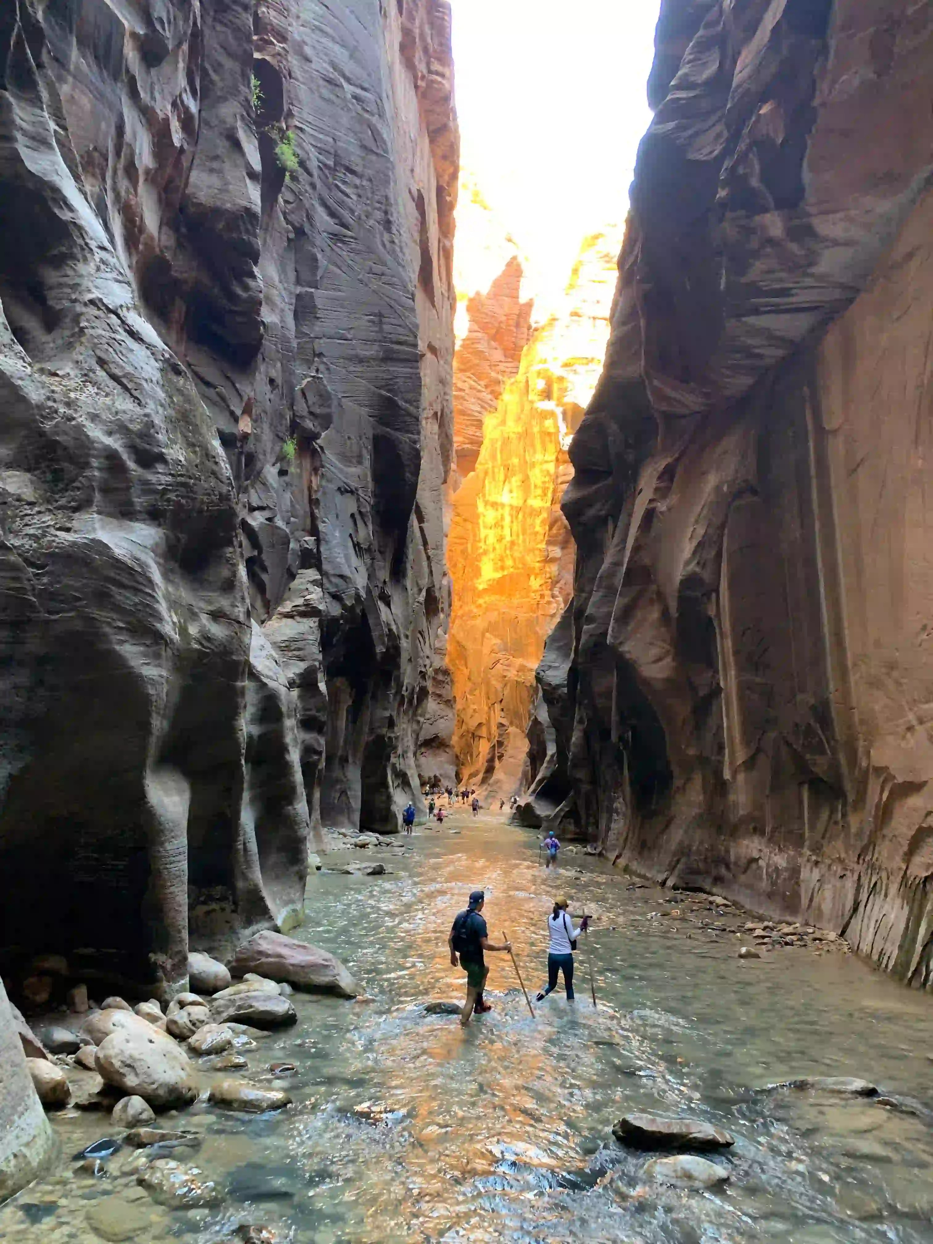 People hiking through the Narrows in Zion National Park, Utah
