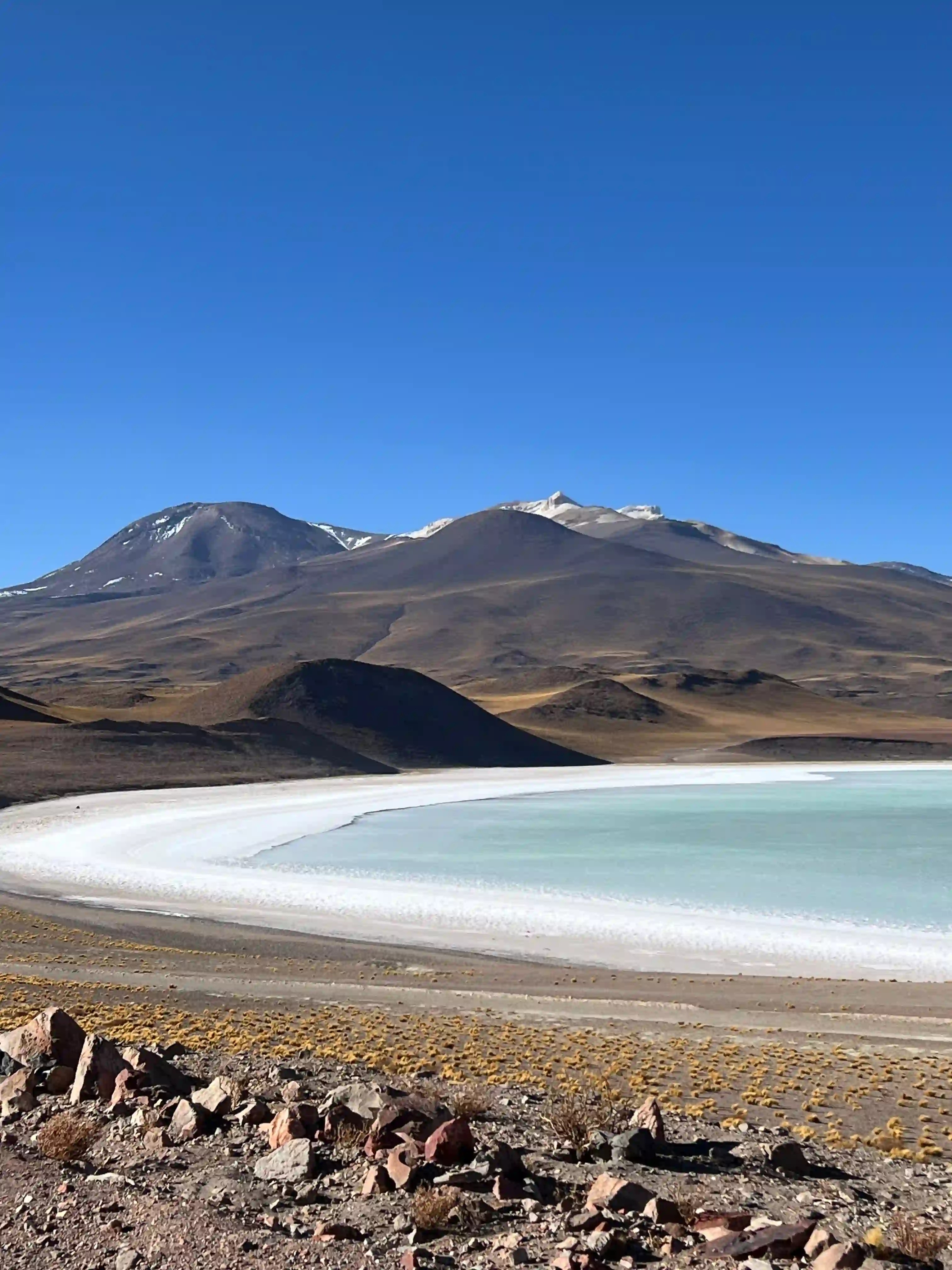 View from Mirador Laguna Tuyajto in the Atacama Desert, Chile