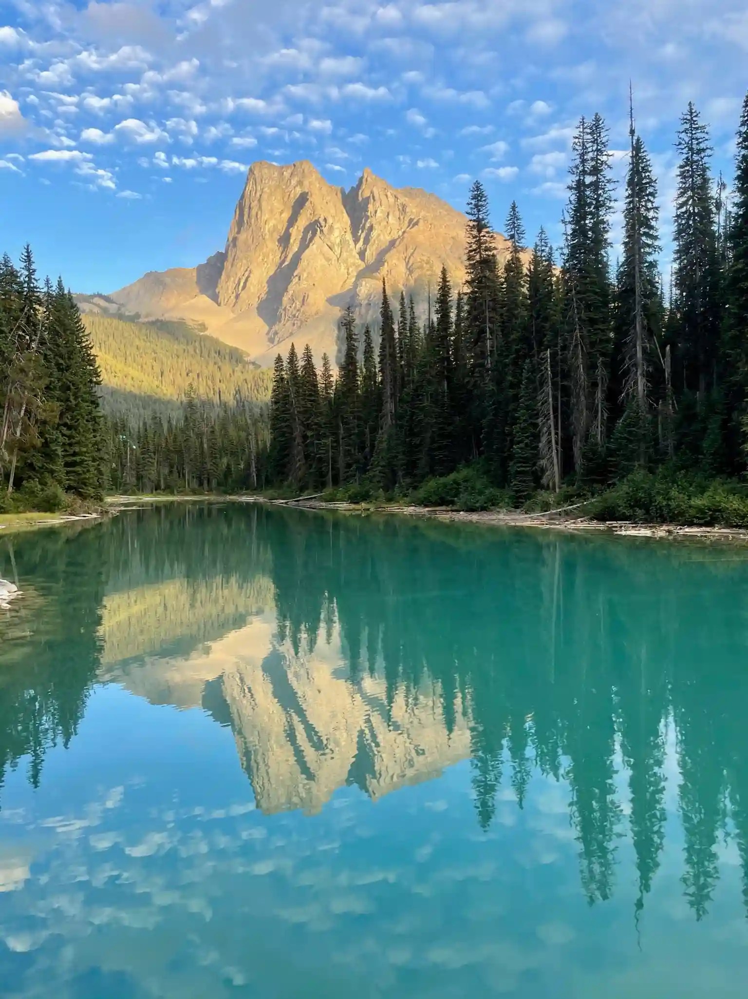 Reflection in Emerald Lake in Yoho National Park, Canada